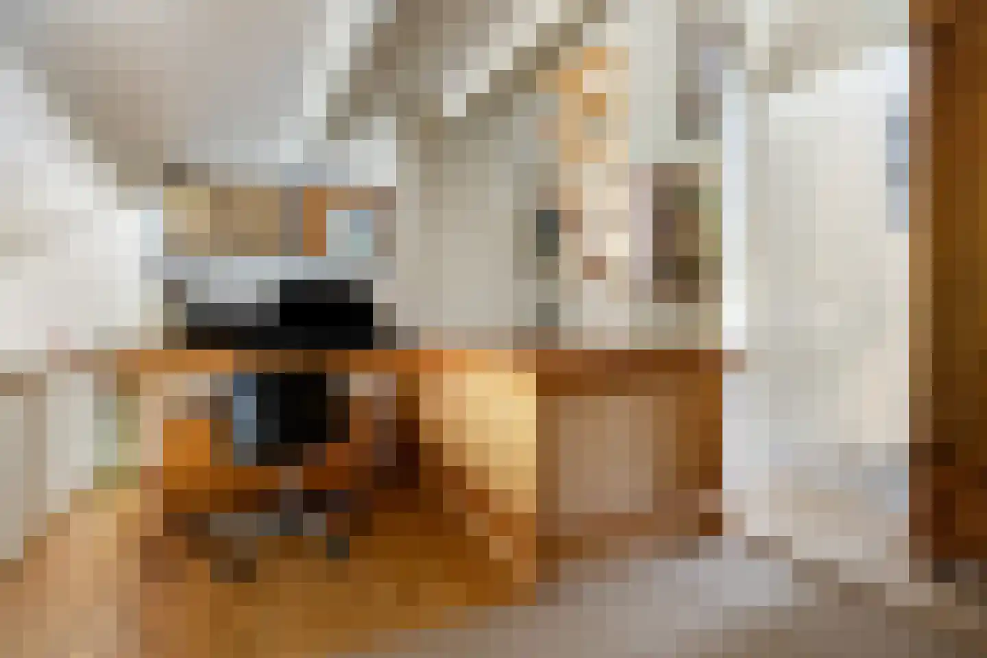 Catsveld 86 Gouda thumbnail 33