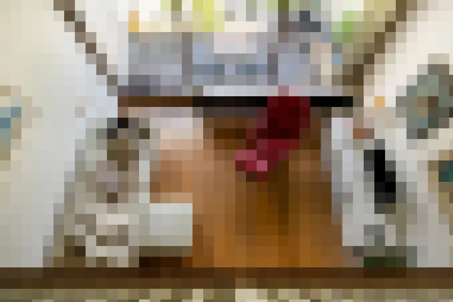 Catsveld 86 Gouda thumbnail 34