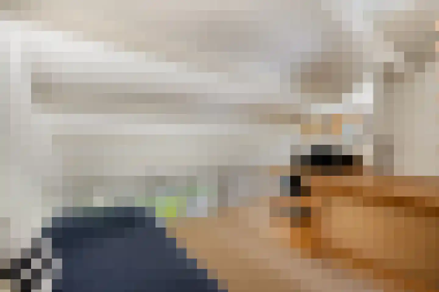 Catsveld 86 Gouda thumbnail 36