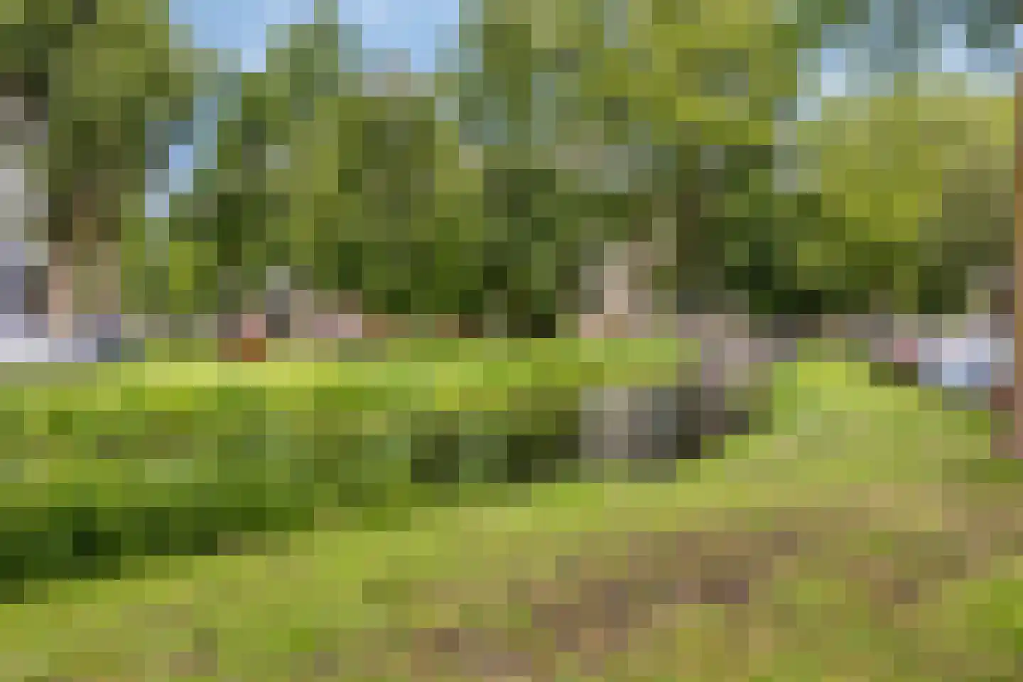 Catsveld 86 Gouda thumbnail 46