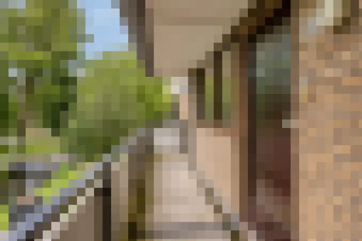 Catsveld 86 Gouda thumbnail 6