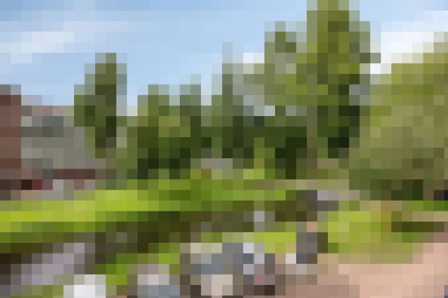 Catsveld 86 Gouda thumbnail 7