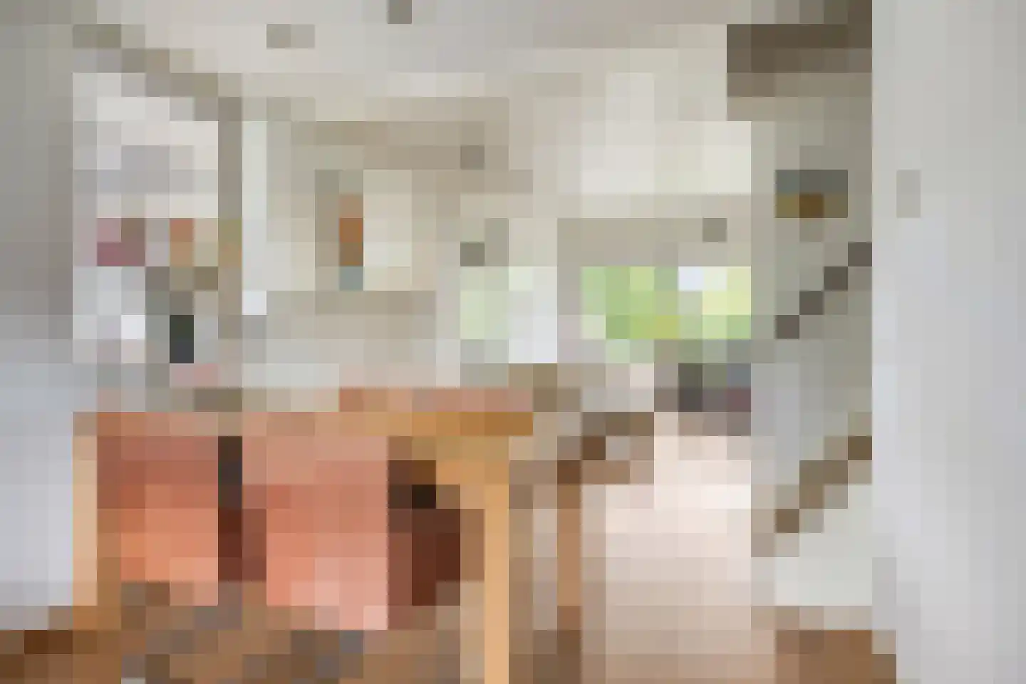 Catsveld 86 Gouda thumbnail 8