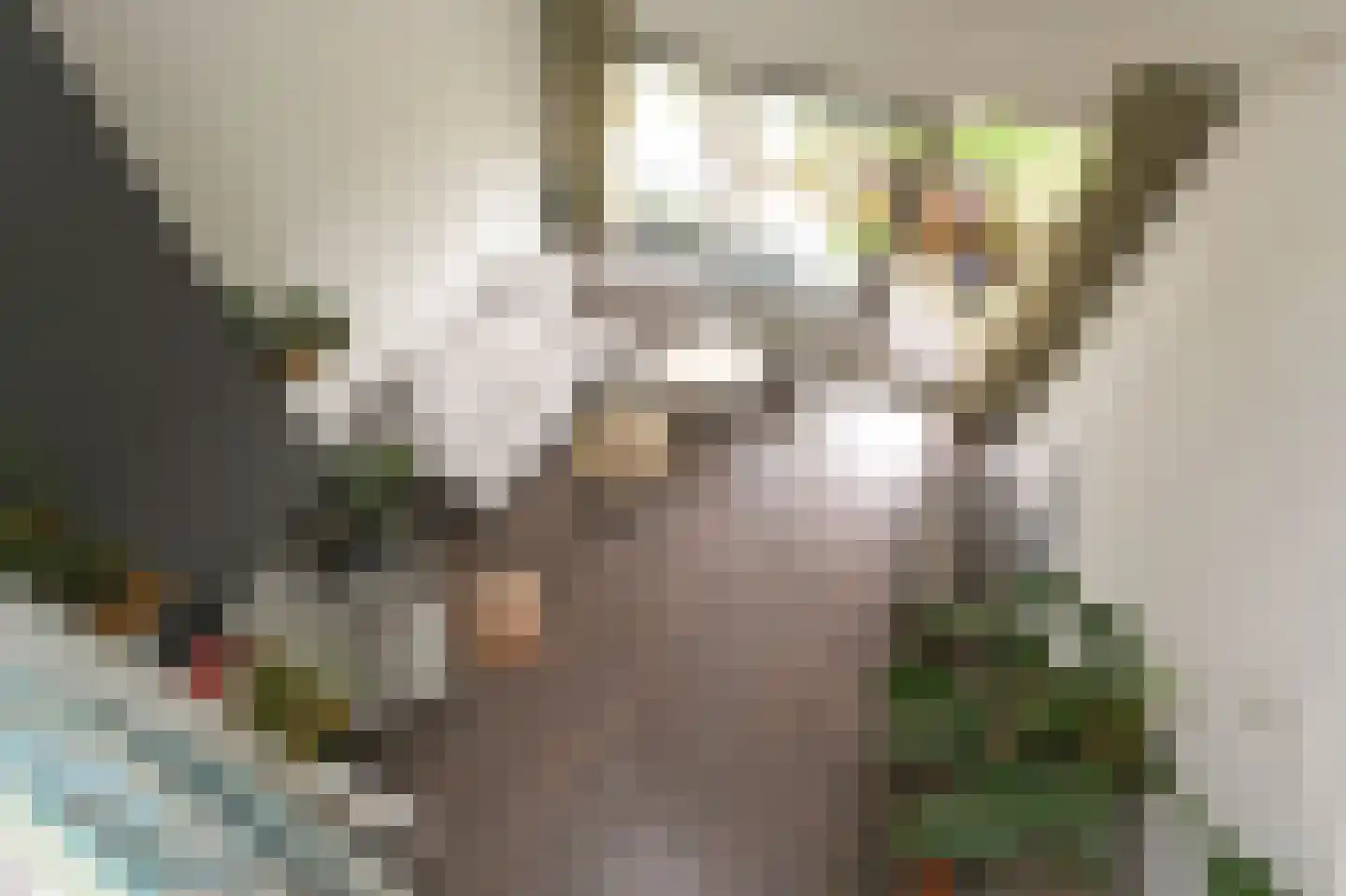 Catsveld 92 Gouda thumbnail 11