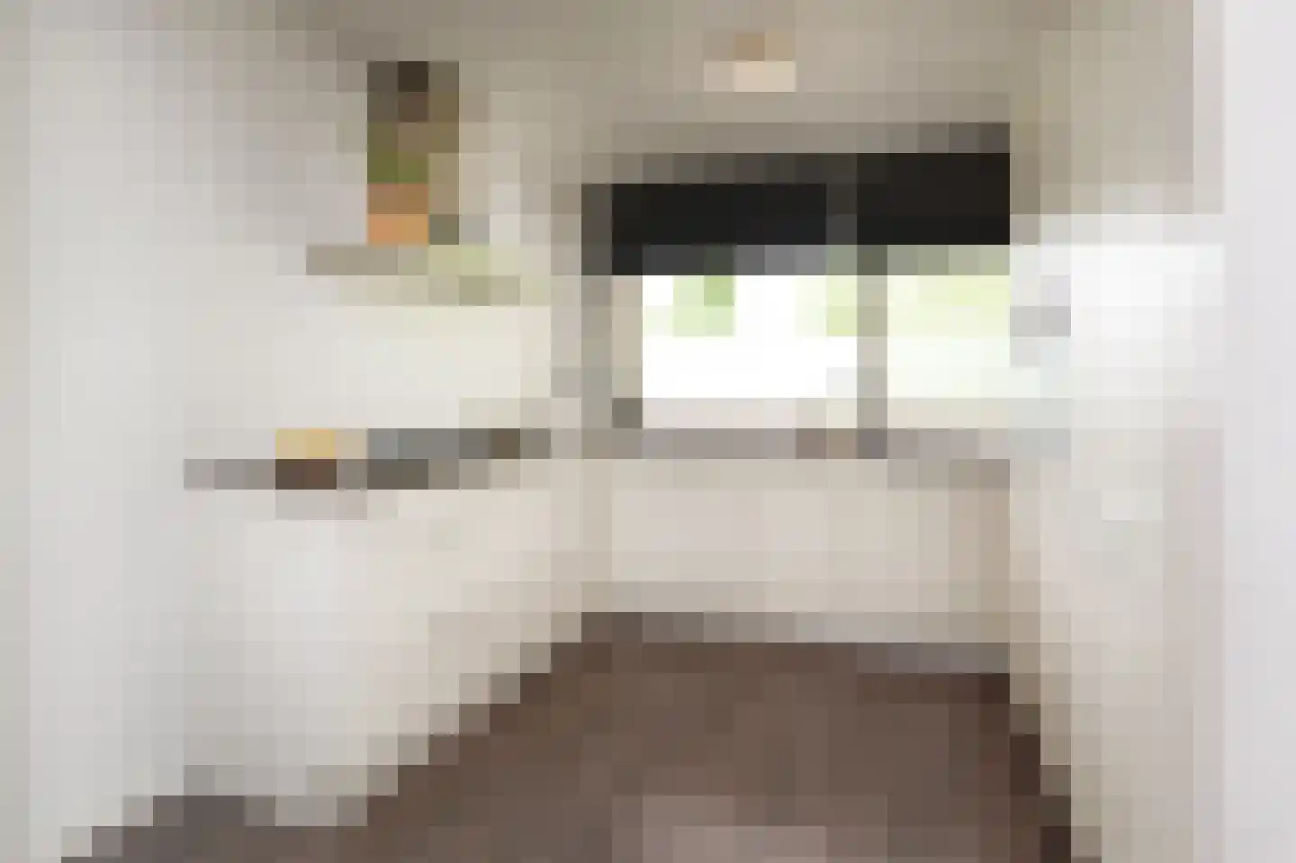 Catsveld 92 Gouda thumbnail 12
