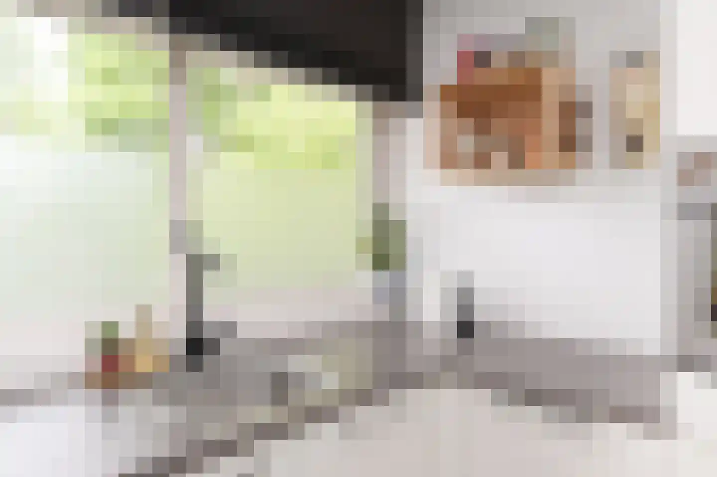Catsveld 92 Gouda thumbnail 13
