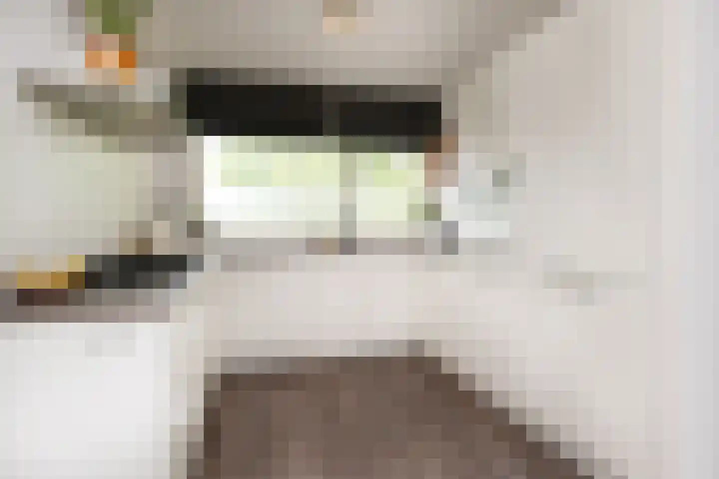 Catsveld 92 Gouda thumbnail 14
