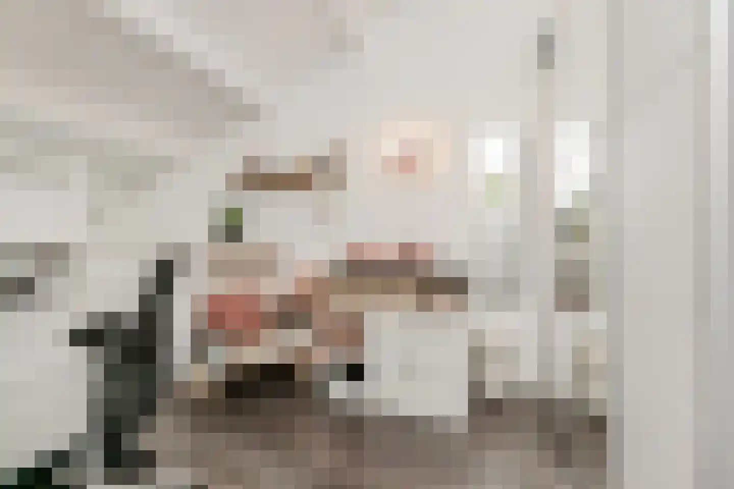 Catsveld 92 Gouda thumbnail 17