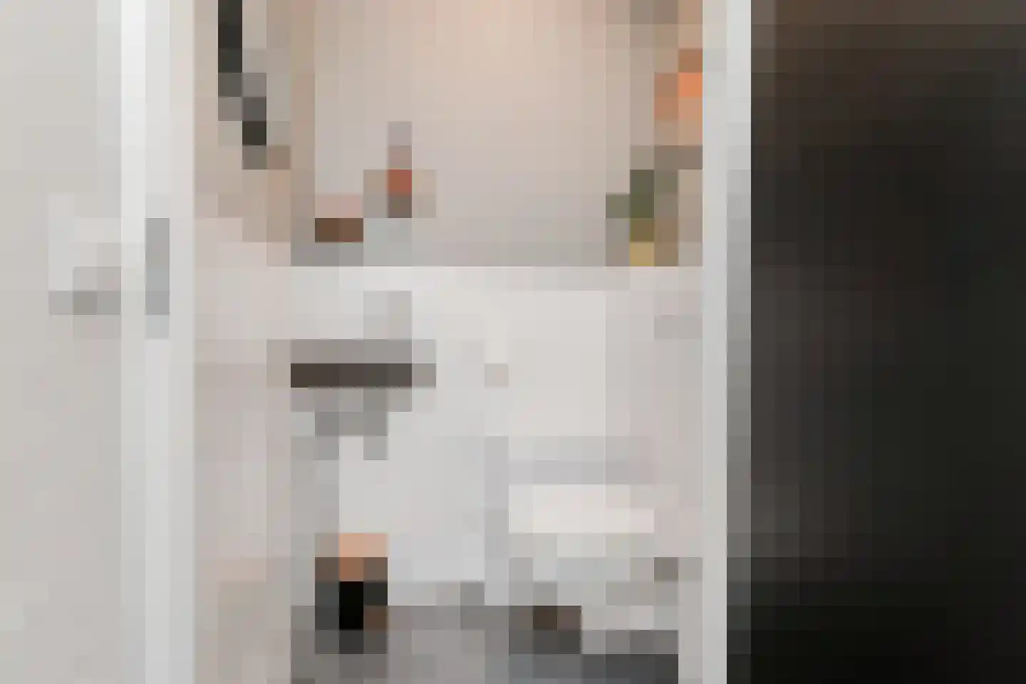 Catsveld 92 Gouda thumbnail 18
