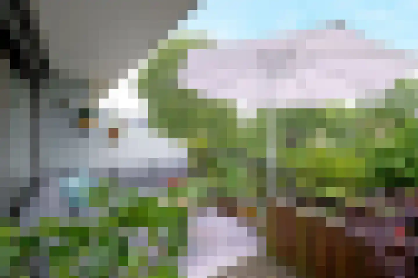 Catsveld 92 Gouda thumbnail 23