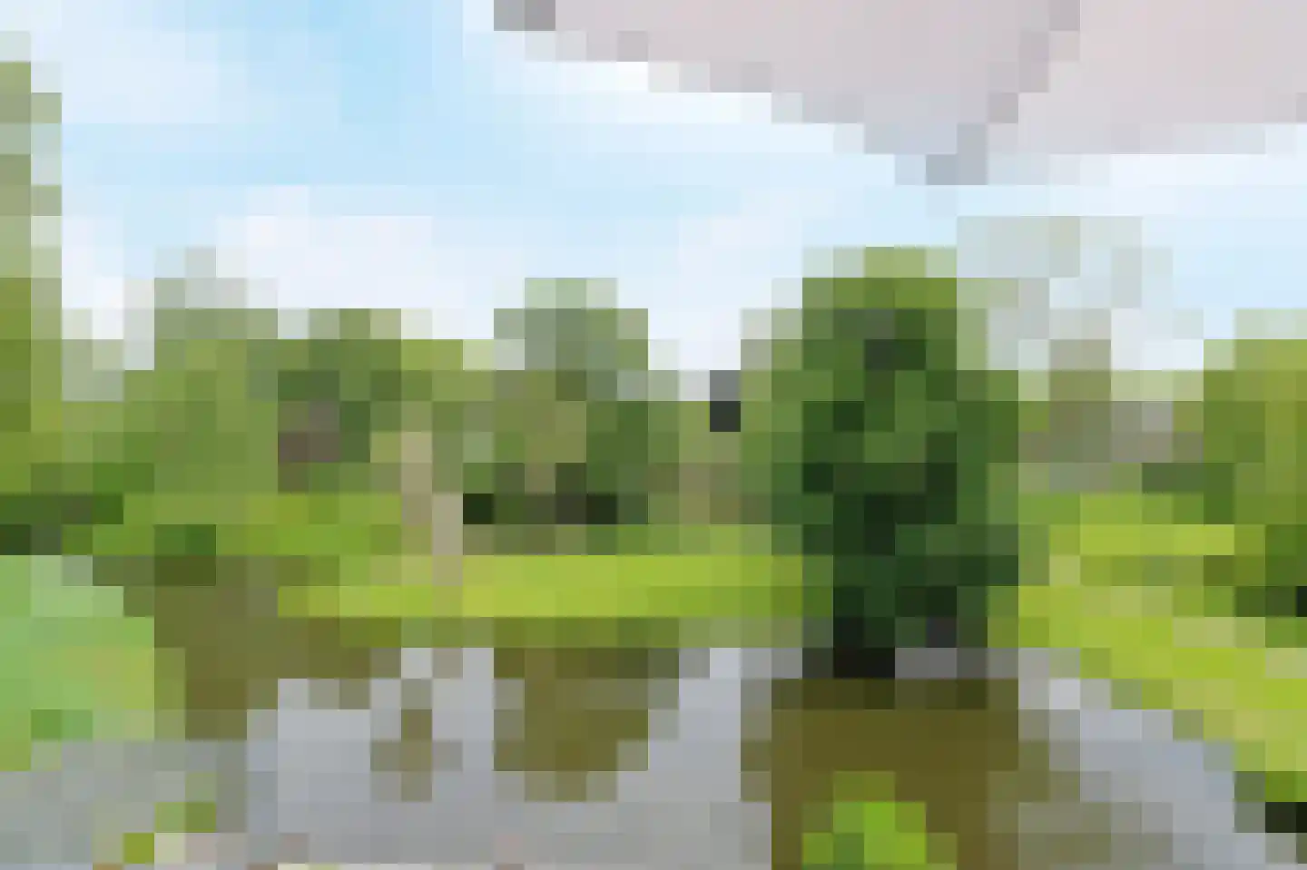 Catsveld 92 Gouda thumbnail 24