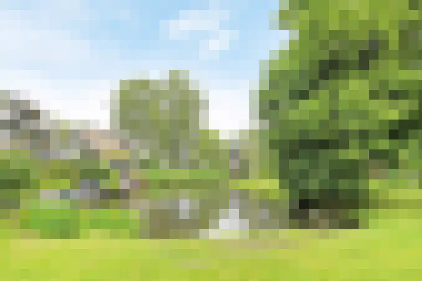 Catsveld 92 Gouda thumbnail 29