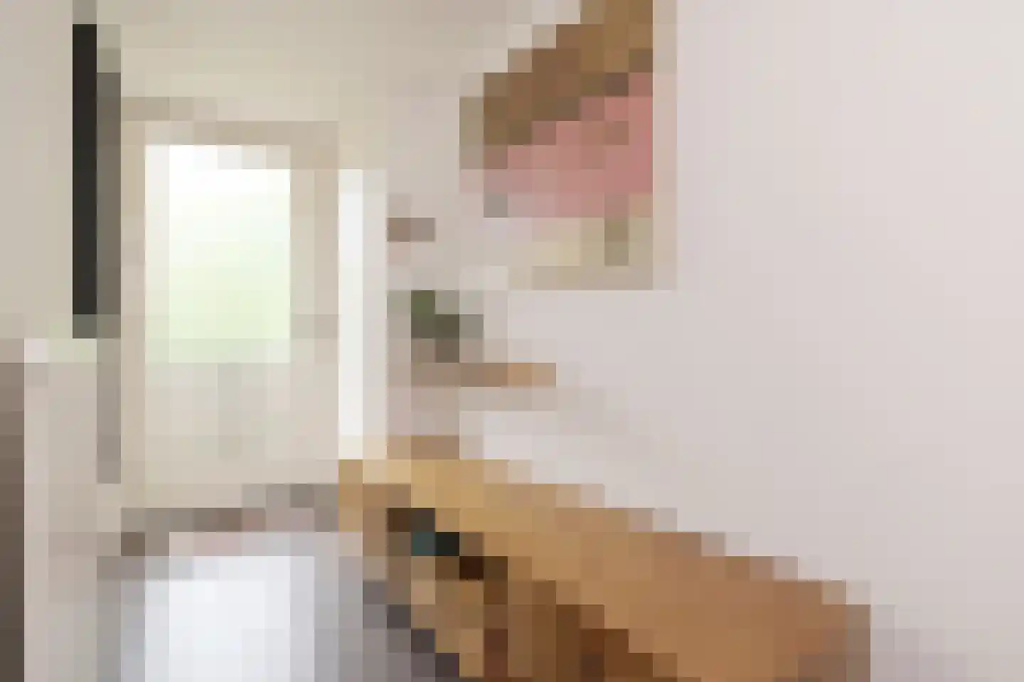 Catsveld 92 Gouda thumbnail 4