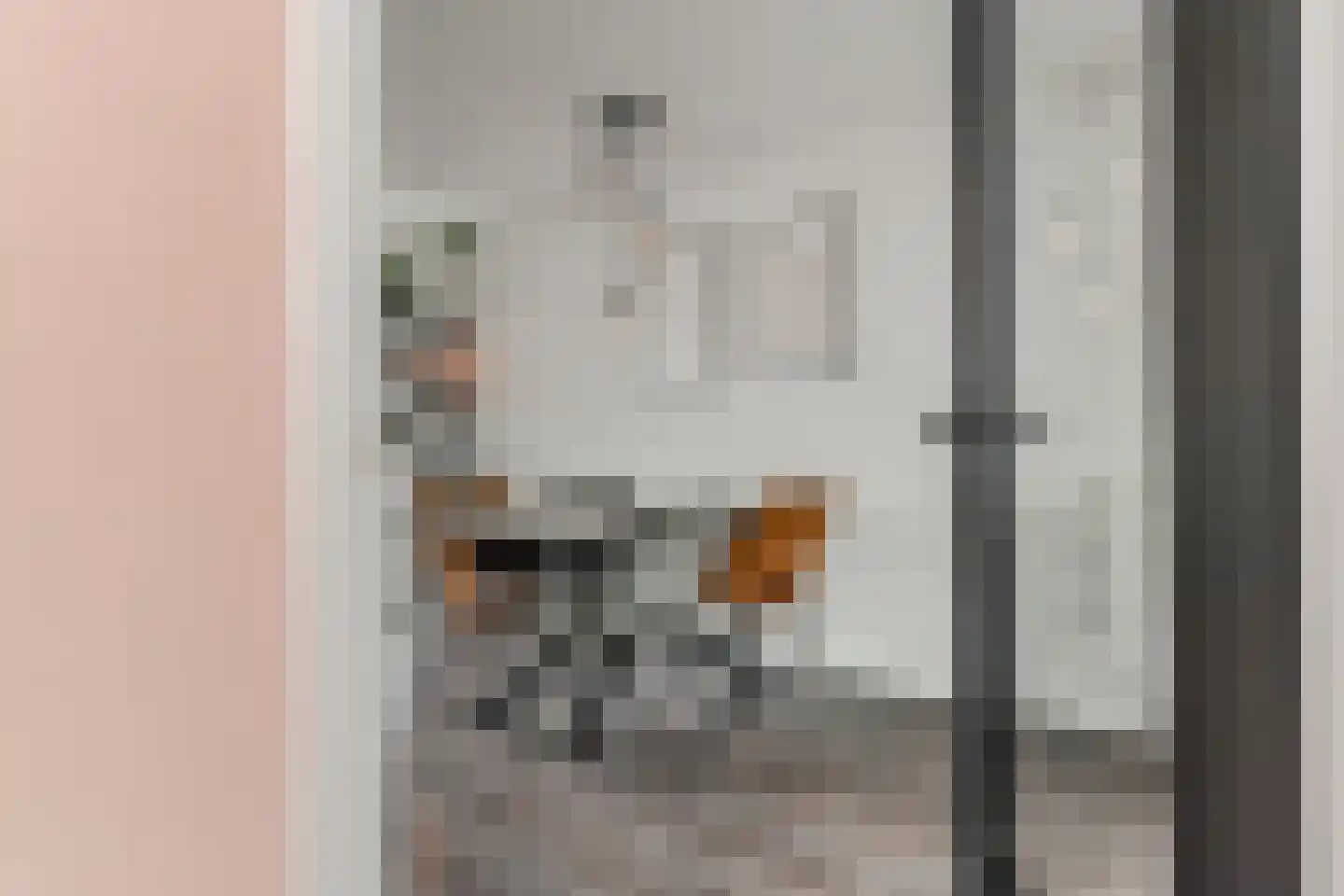 Catsveld 92 Gouda thumbnail 6