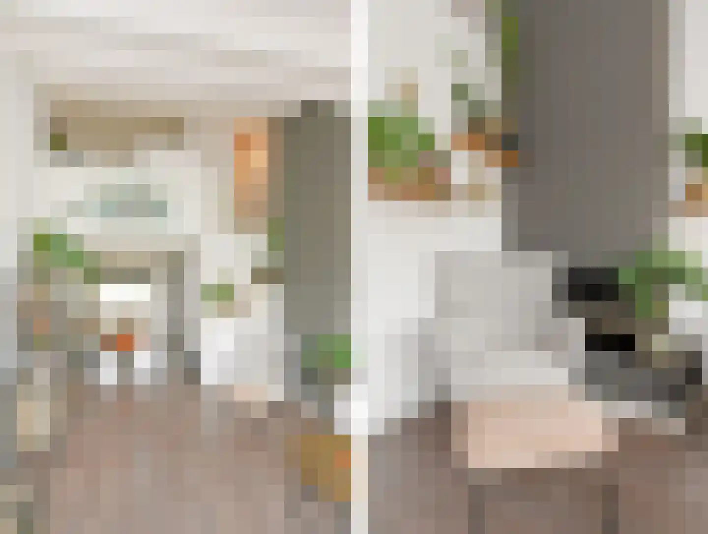 Catsveld 92 Gouda thumbnail 8