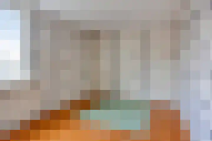 Catswende 170 Hillegom thumbnail 12