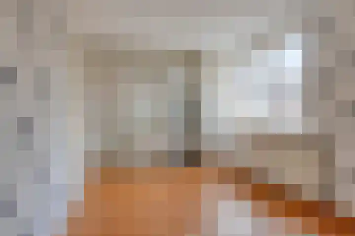 Catswende 170 Hillegom thumbnail 13