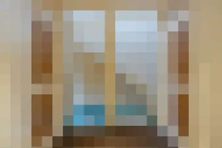 Catswende 170 Hillegom thumbnail 19