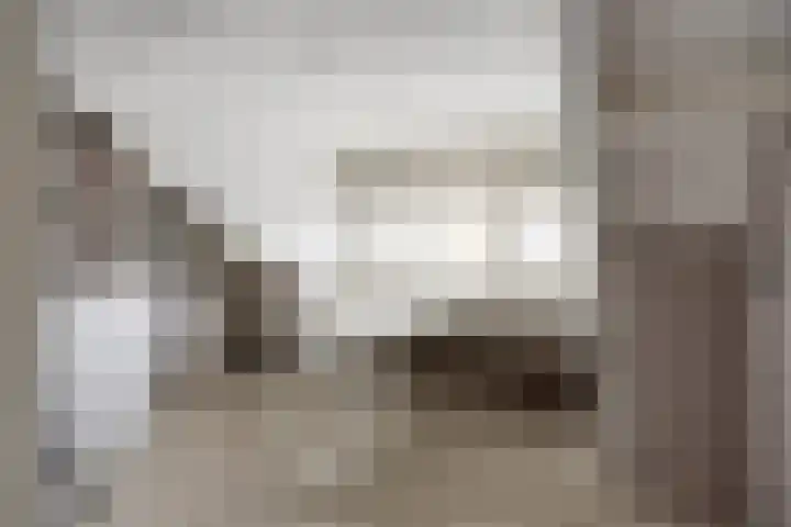 Catswende 170 Hillegom thumbnail 21