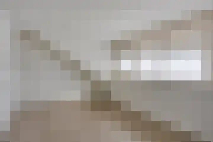 Catswende 170 Hillegom thumbnail 22