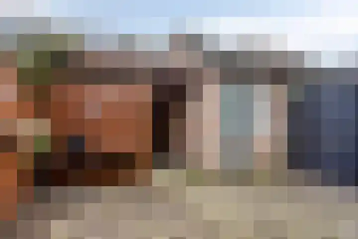Catswende 170 Hillegom thumbnail 25