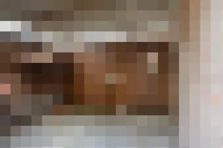 Catswende 170 Hillegom thumbnail 26