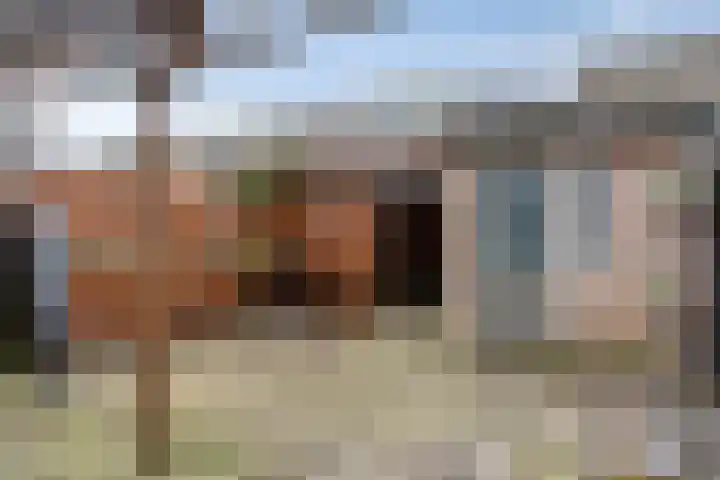 Catswende 170 Hillegom thumbnail 4