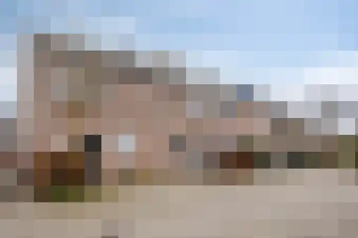 Catswende 170 Hillegom thumbnail 5