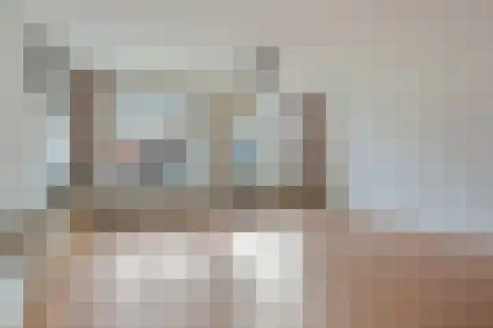 Catswende 170 Hillegom thumbnail 8
