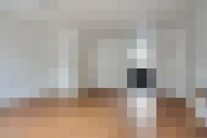 Catswende 170 Hillegom thumbnail 9