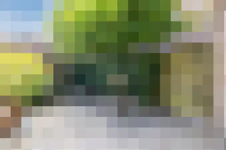 Catswende 174 Hillegom thumbnail 10
