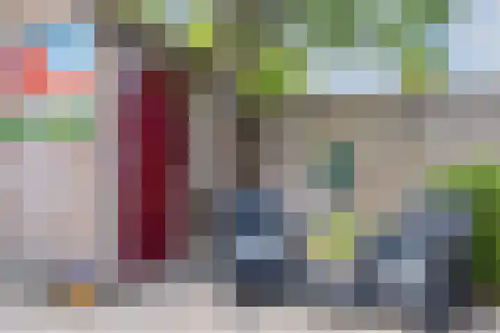 Catswende 174 Hillegom thumbnail 11