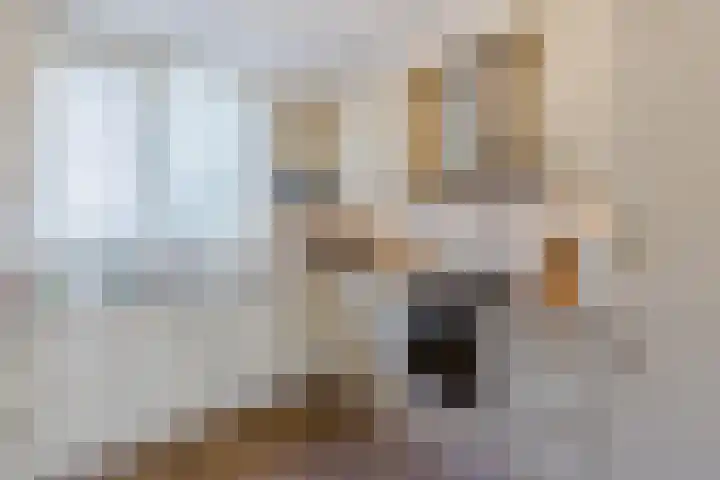 Catswende 174 Hillegom thumbnail 14
