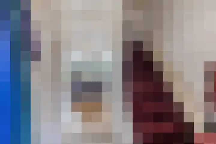 Catswende 174 Hillegom thumbnail 18