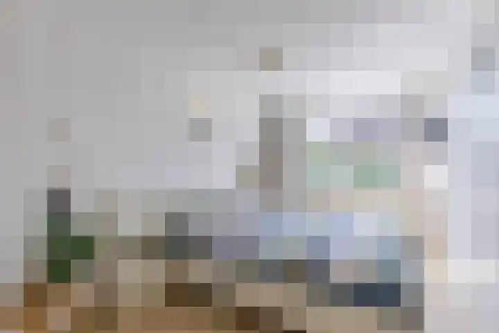 Catswende 174 Hillegom thumbnail 20