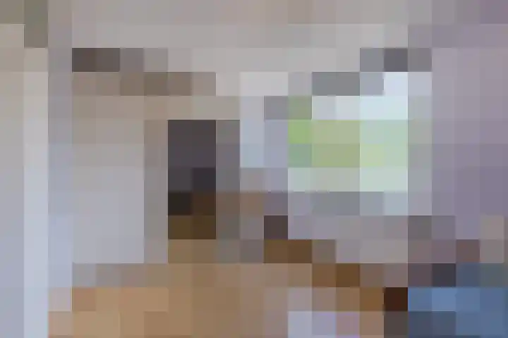 Catswende 174 Hillegom thumbnail 23