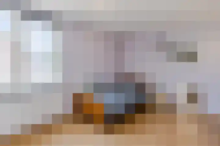 Catswende 174 Hillegom thumbnail 24