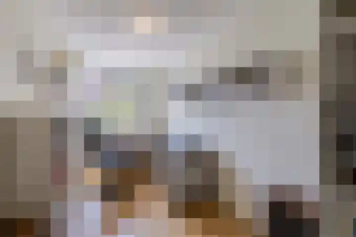 Catswende 174 Hillegom thumbnail 25