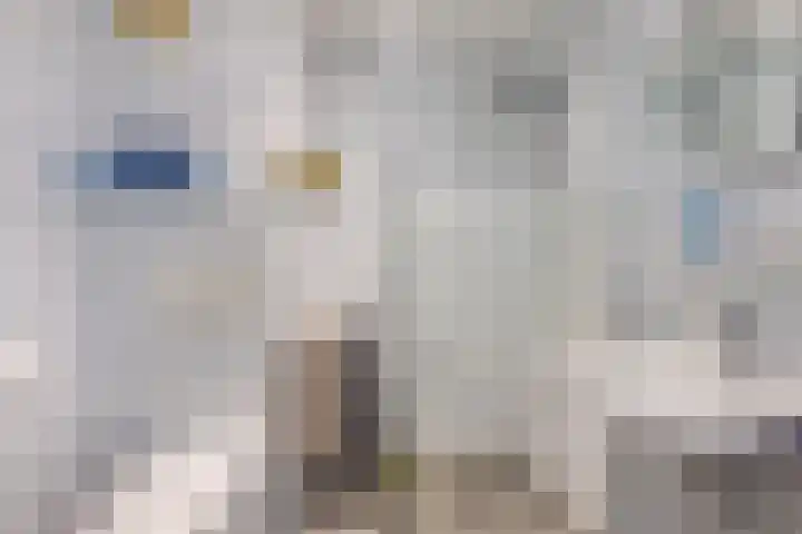 Catswende 174 Hillegom thumbnail 27