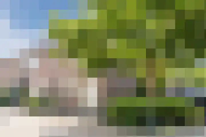 Catswende 174 Hillegom thumbnail 31