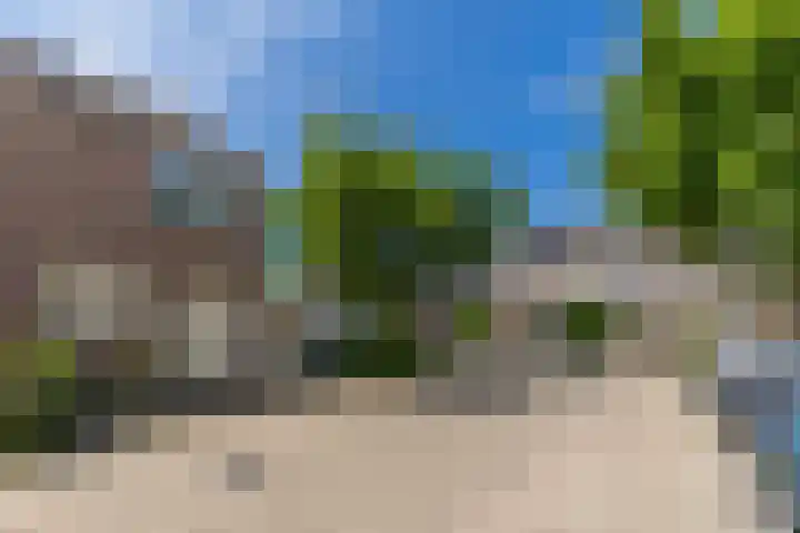 Catswende 174 Hillegom thumbnail 32
