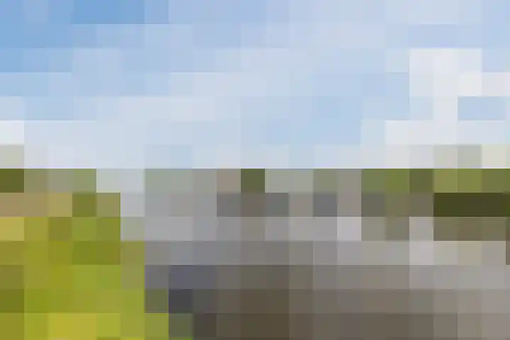 Catswende 174 Hillegom thumbnail 33