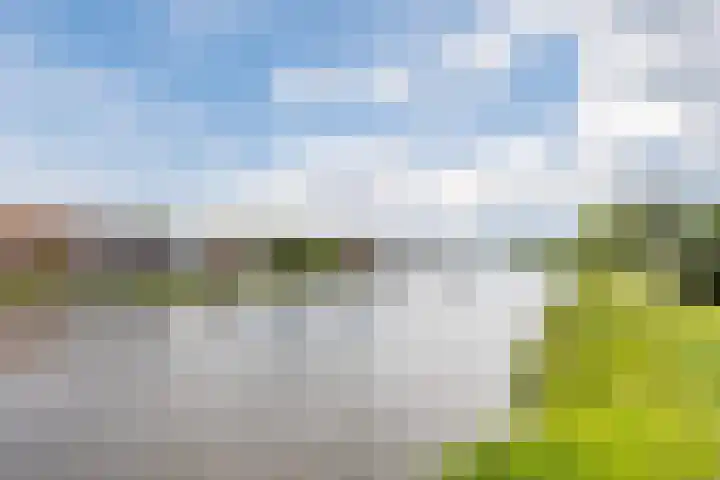 Catswende 174 Hillegom thumbnail 34