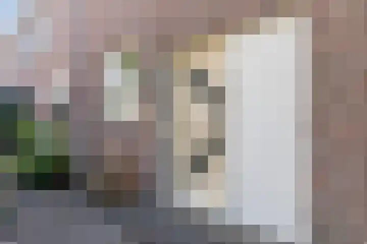 Catswende 174 Hillegom thumbnail 4