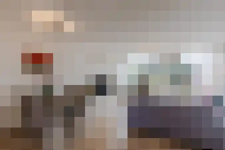 Catswende 174 Hillegom thumbnail 5