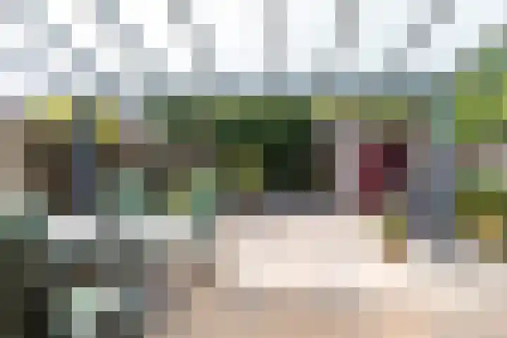 Catswende 174 Hillegom thumbnail 8