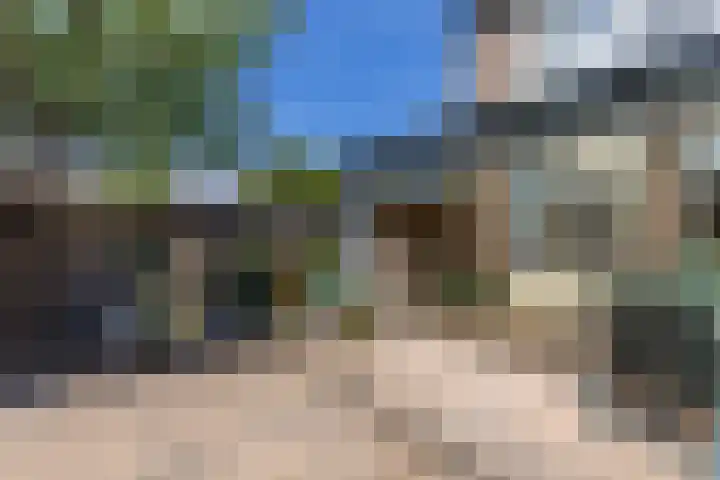 Catswende 174 Hillegom thumbnail 9