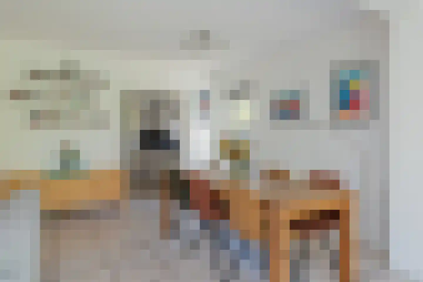 Catswende 64 Hillegom thumbnail 12