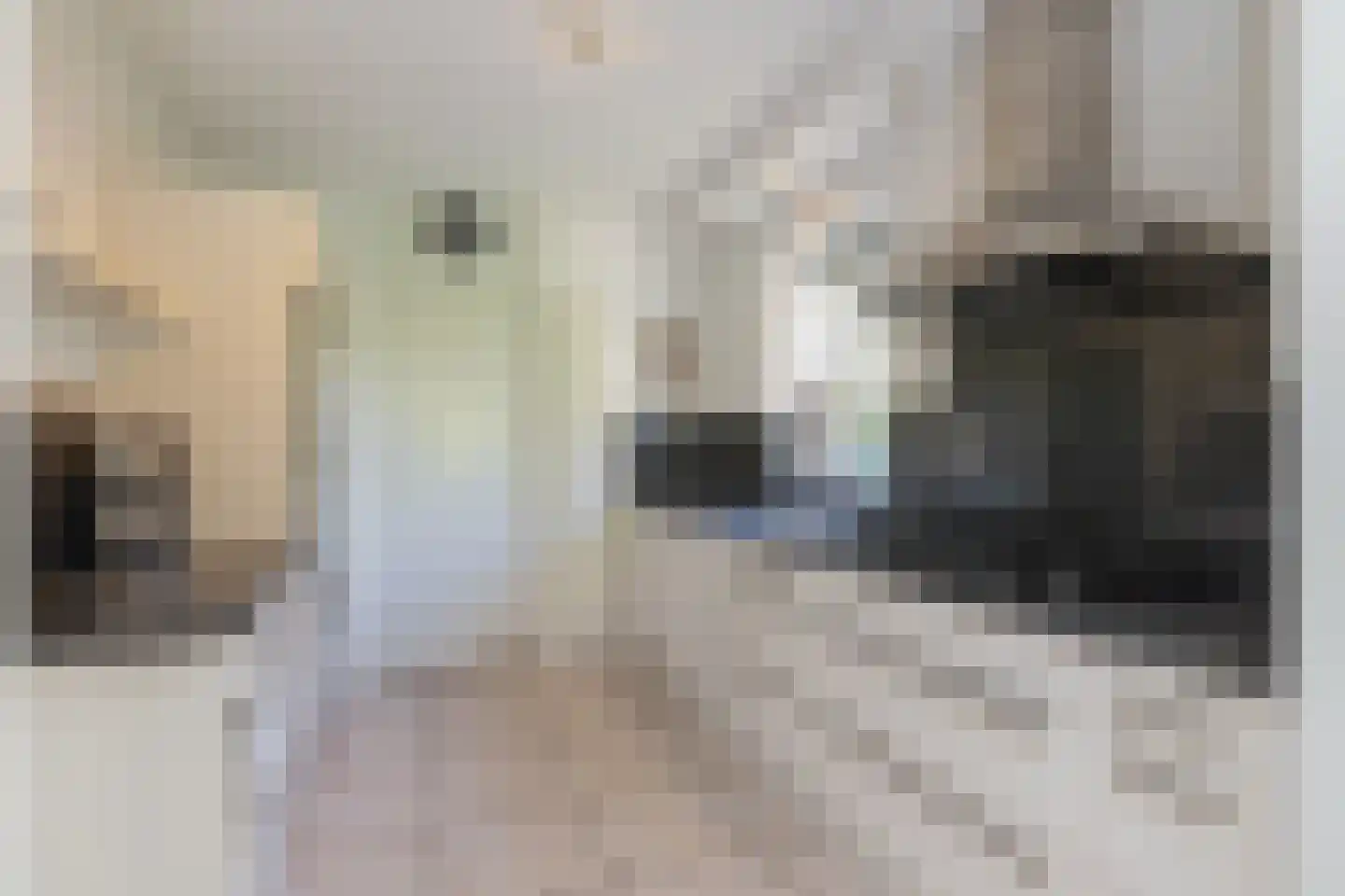 Catswende 64 Hillegom thumbnail 14