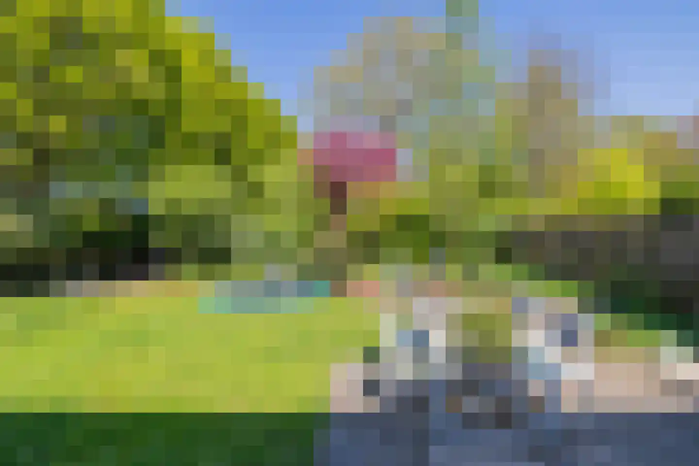 Catswende 64 Hillegom thumbnail 19